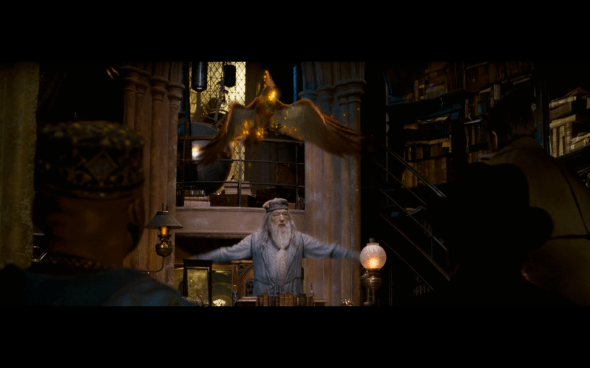 Harry Potter and the Order of the Phoenix - 1187