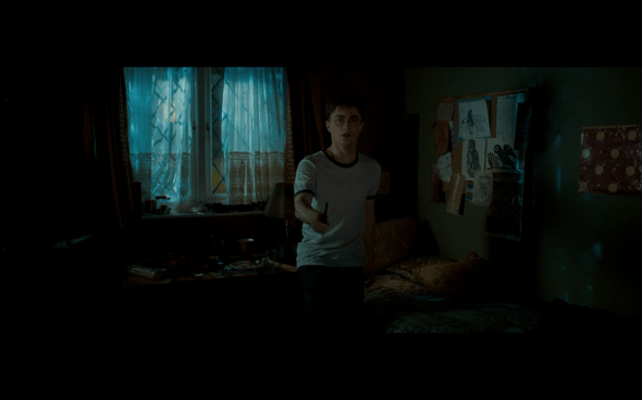 Harry Potter and the Order of the Phoenix - 119