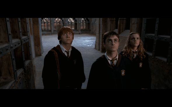 Harry Potter and the Order of the Phoenix - 1196