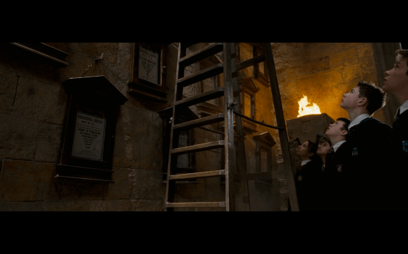 Harry Potter and the Order of the Phoenix - 1199