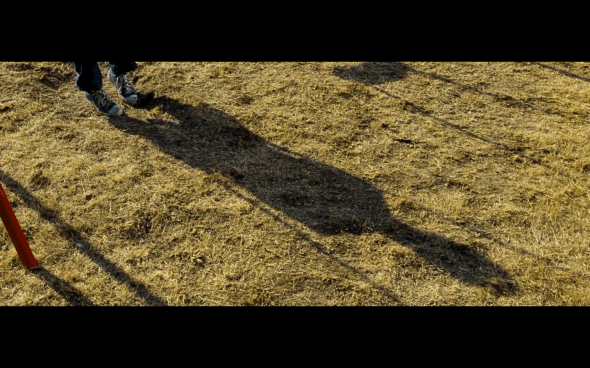 Harry Potter and the Order of the Phoenix - 12