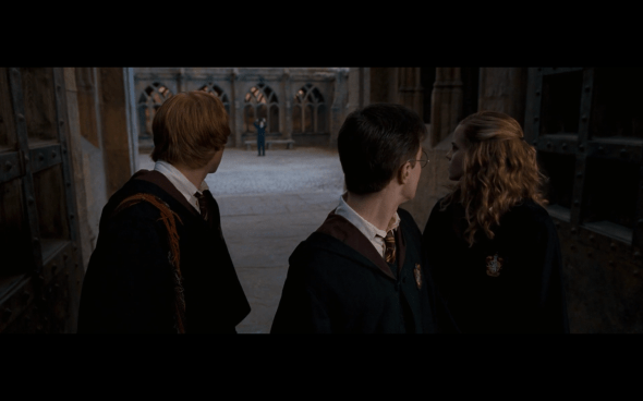 Harry Potter and the Order of the Phoenix - 1201