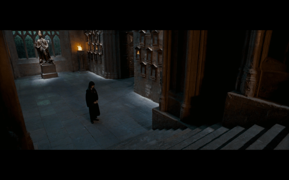 Harry Potter and the Order of the Phoenix - 1215