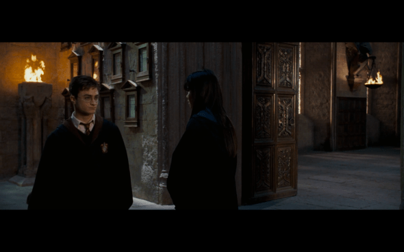 Harry Potter and the Order of the Phoenix - 1217