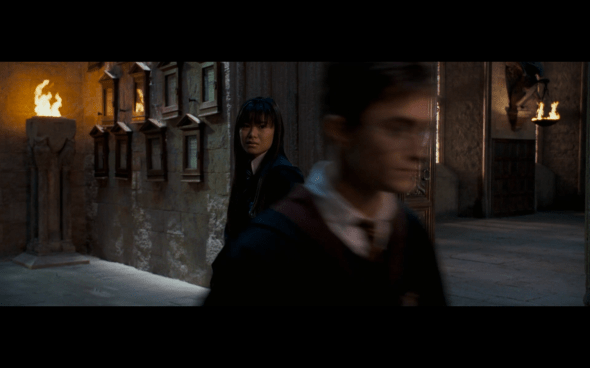 Harry Potter and the Order of the Phoenix - 1218