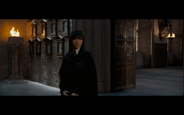 Harry Potter and the Order of the Phoenix - 1219