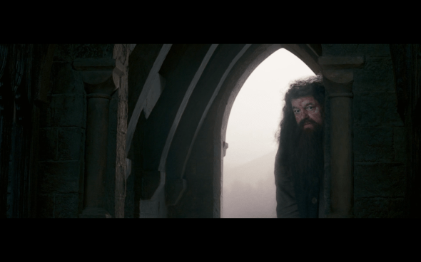 Harry Potter and the Order of the Phoenix - 1223