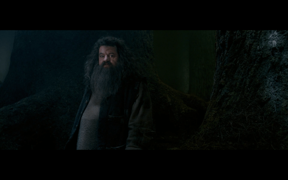 Harry Potter and the Order of the Phoenix - 1226