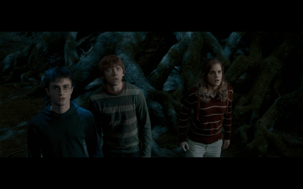 Harry Potter and the Order of the Phoenix - 1228