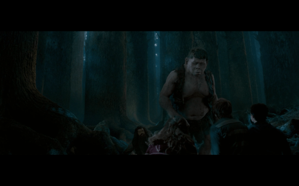 Harry Potter and the Order of the Phoenix - 1231