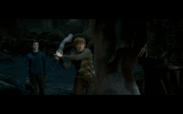 Harry Potter and the Order of the Phoenix - 1234