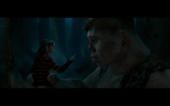 Harry Potter and the Order of the Phoenix - 1238