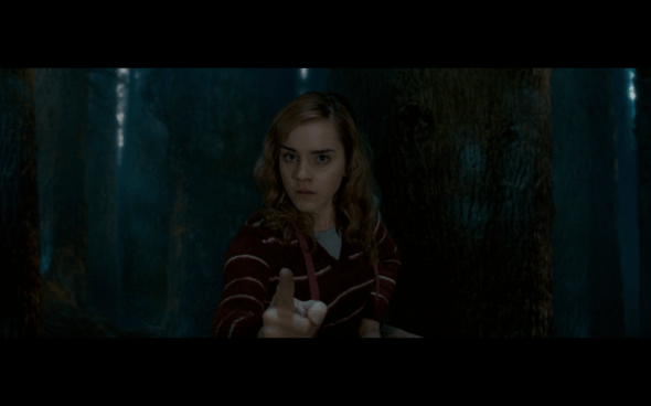 Harry Potter and the Order of the Phoenix - 1239