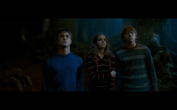 Harry Potter and the Order of the Phoenix - 1242