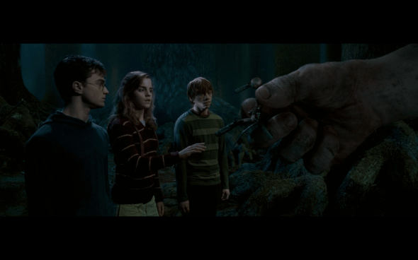 Harry Potter and the Order of the Phoenix - 1244