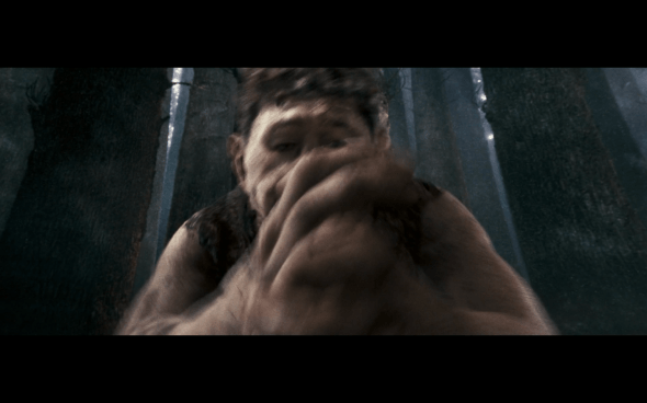 Harry Potter and the Order of the Phoenix - 1258