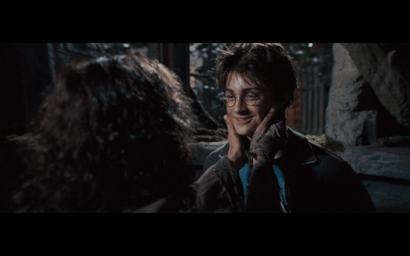 Harry Potter and the Order of the Phoenix - 1259