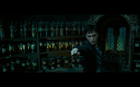 Harry Potter and the Order of the Phoenix - 1269