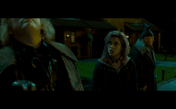 Harry Potter and the Order of the Phoenix - 127