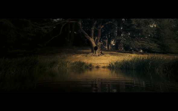 Harry Potter and the Order of the Phoenix - 1274