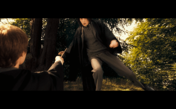 Harry Potter and the Order of the Phoenix - 1277