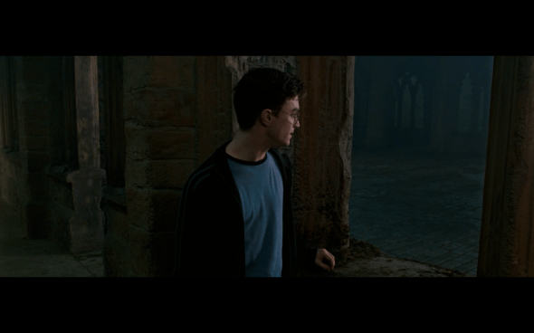 Harry Potter and the Order of the Phoenix - 1283