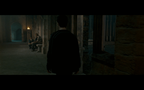 Harry Potter and the Order of the Phoenix - 1284