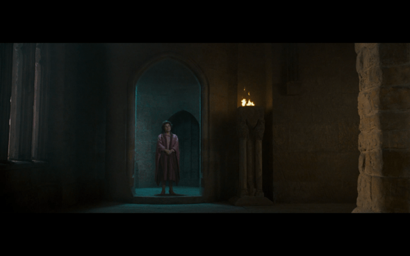 Harry Potter and the Order of the Phoenix - 1286