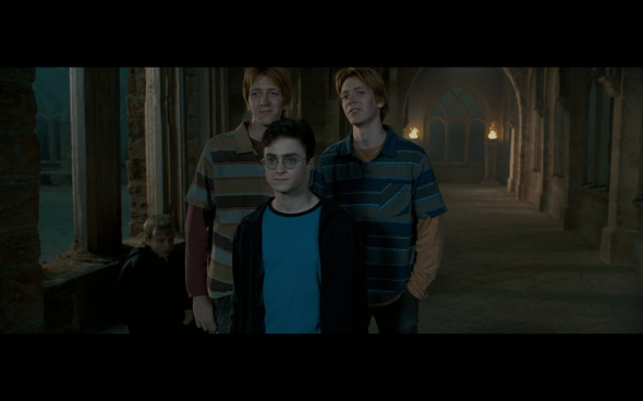 Harry Potter and the Order of the Phoenix - 1287