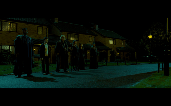 Harry Potter and the Order of the Phoenix - 130