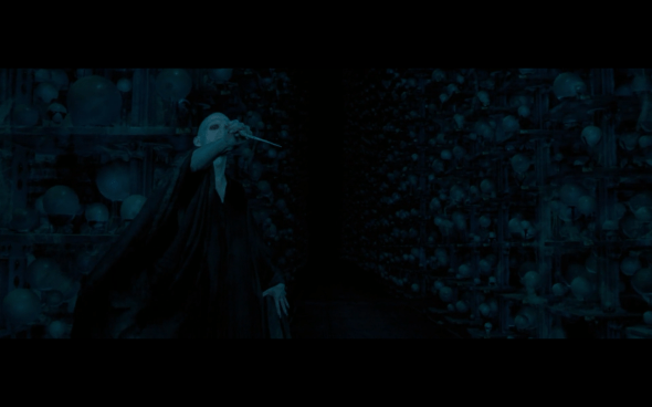 Harry Potter and the Order of the Phoenix - 1343