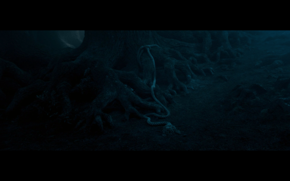 Harry Potter and the Order of the Phoenix - 1376