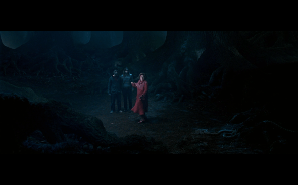 Harry Potter and the Order of the Phoenix - 1379