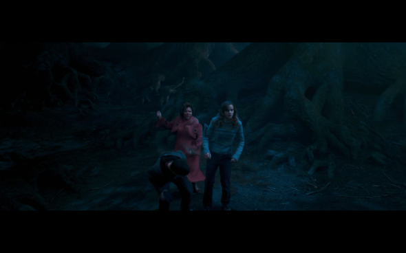 Harry Potter and the Order of the Phoenix - 1385