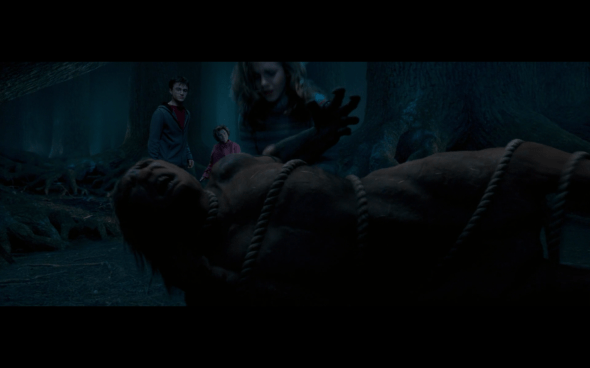 Harry Potter and the Order of the Phoenix - 1389