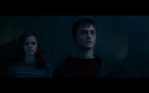 Harry Potter and the Order of the Phoenix - 1395