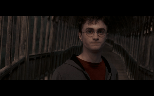 Harry Potter and the Order of the Phoenix - 1408