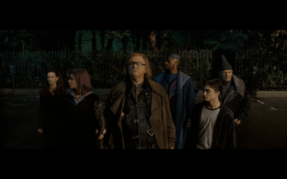 Harry Potter and the Order of the Phoenix - 145