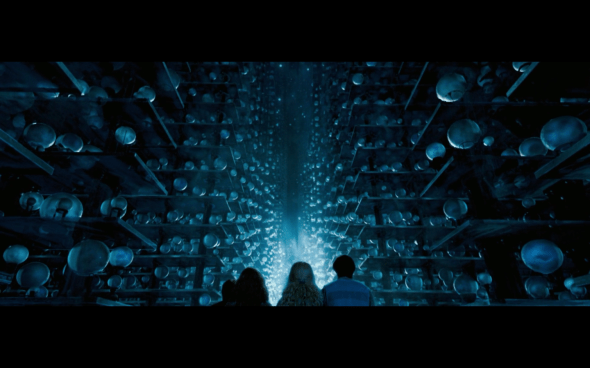 Harry Potter and the Order of the Phoenix - 1507