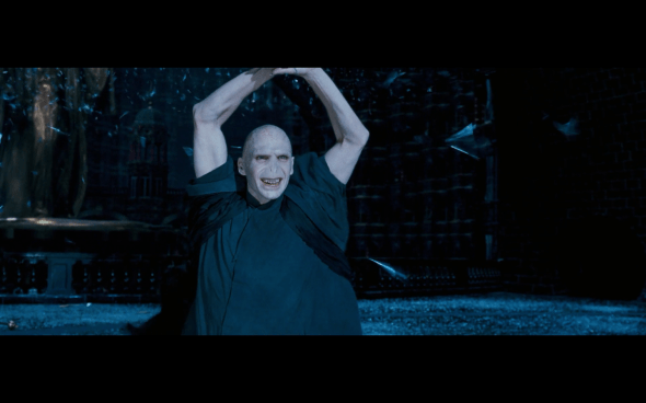 Harry Potter and the Order of the Phoenix - 1755