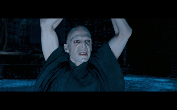 Harry Potter and the Order of the Phoenix - 1760