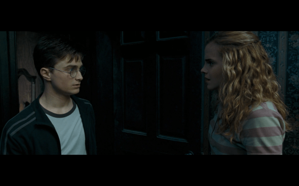 Harry Potter and the Order of the Phoenix - 187