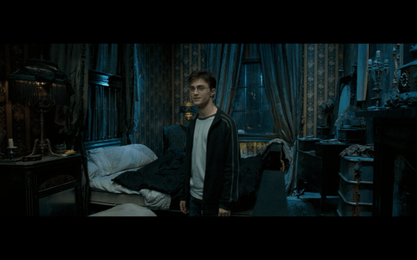 Harry Potter and the Order of the Phoenix - 191