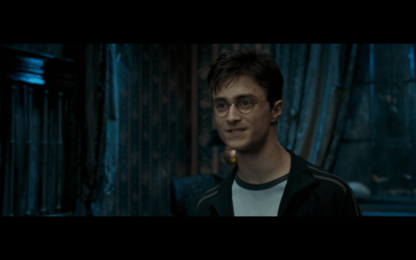 Harry Potter and the Order of the Phoenix - 193