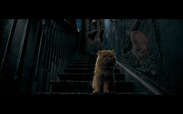 Harry Potter and the Order of the Phoenix - 203