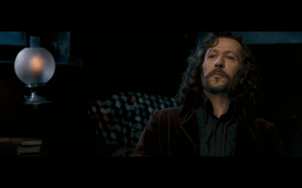 Harry Potter and the Order of the Phoenix - 240