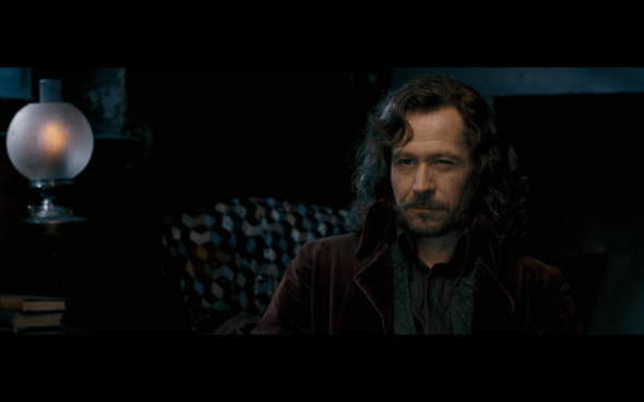 Harry Potter and the Order of the Phoenix - 243