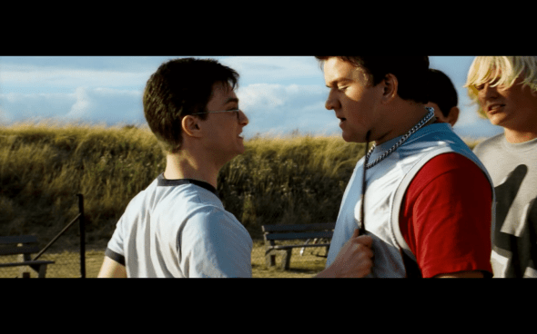 Harry Potter and the Order of the Phoenix - 25