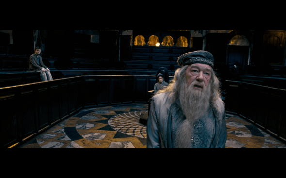 Harry Potter and the Order of the Phoenix - 324