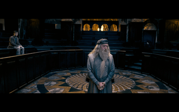 Harry Potter and the Order of the Phoenix - 334